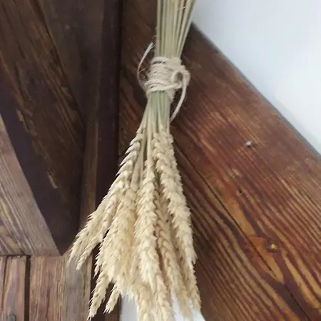 Agroturystyka W Starym Młynie Zgorzelec
